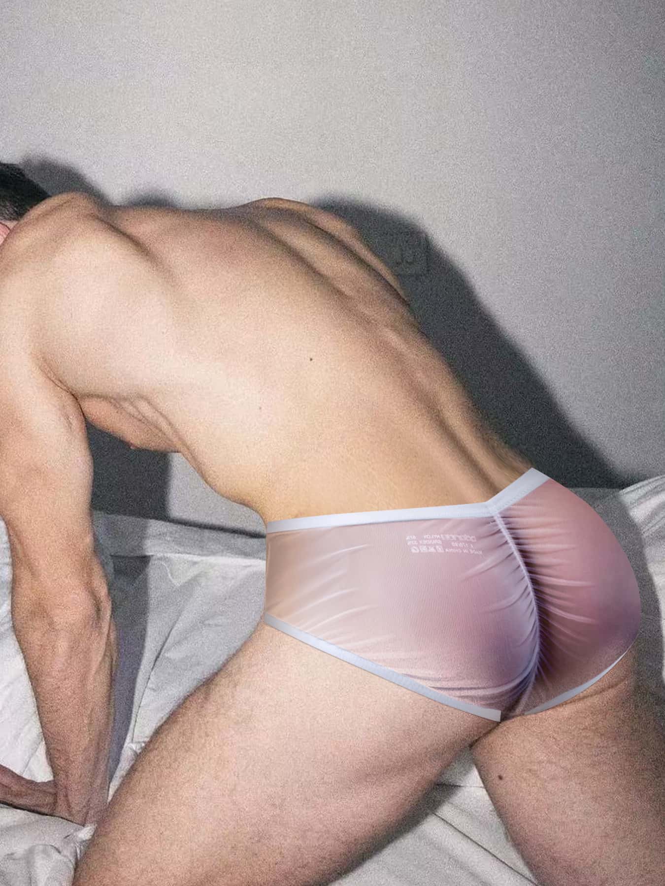 Men's Breathable Semi-Sheer Silky Nylon Briefs