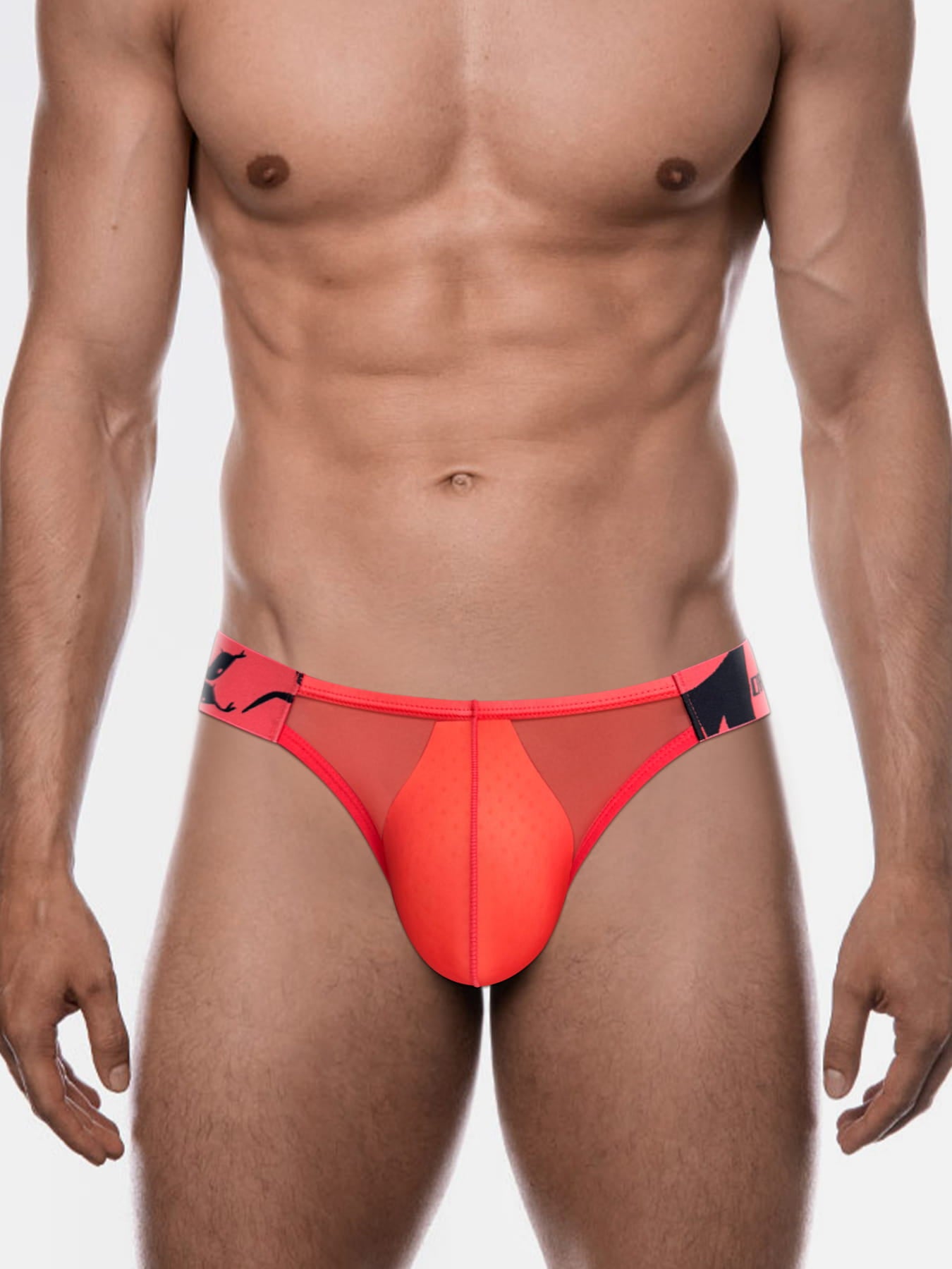 Men's Sexy Sheer Low-Rise Bikini Briefs