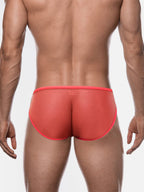 Men's Sexy Sheer Low-Rise Bikini Briefs