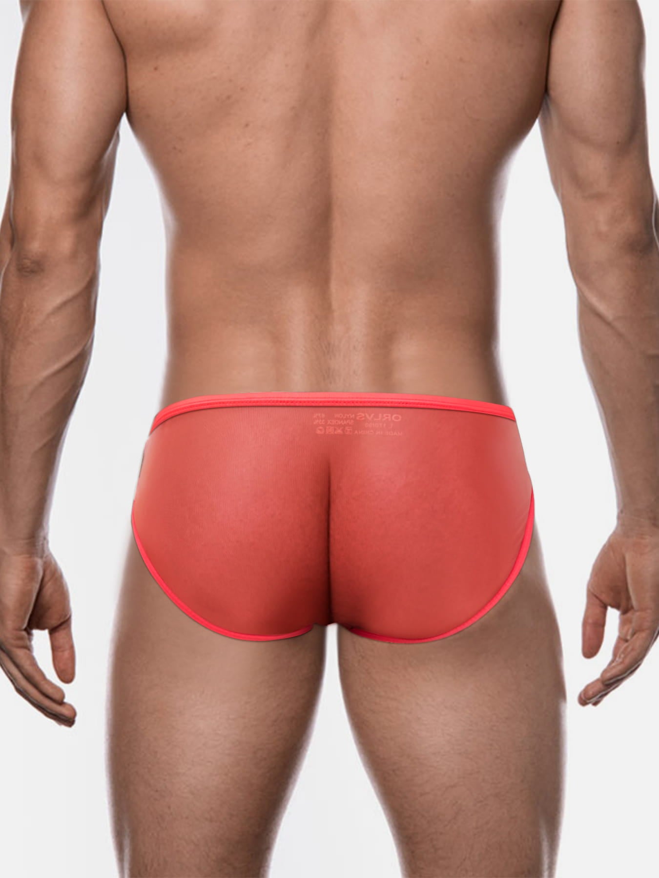 Men's Sexy Sheer Low-Rise Bikini Briefs
