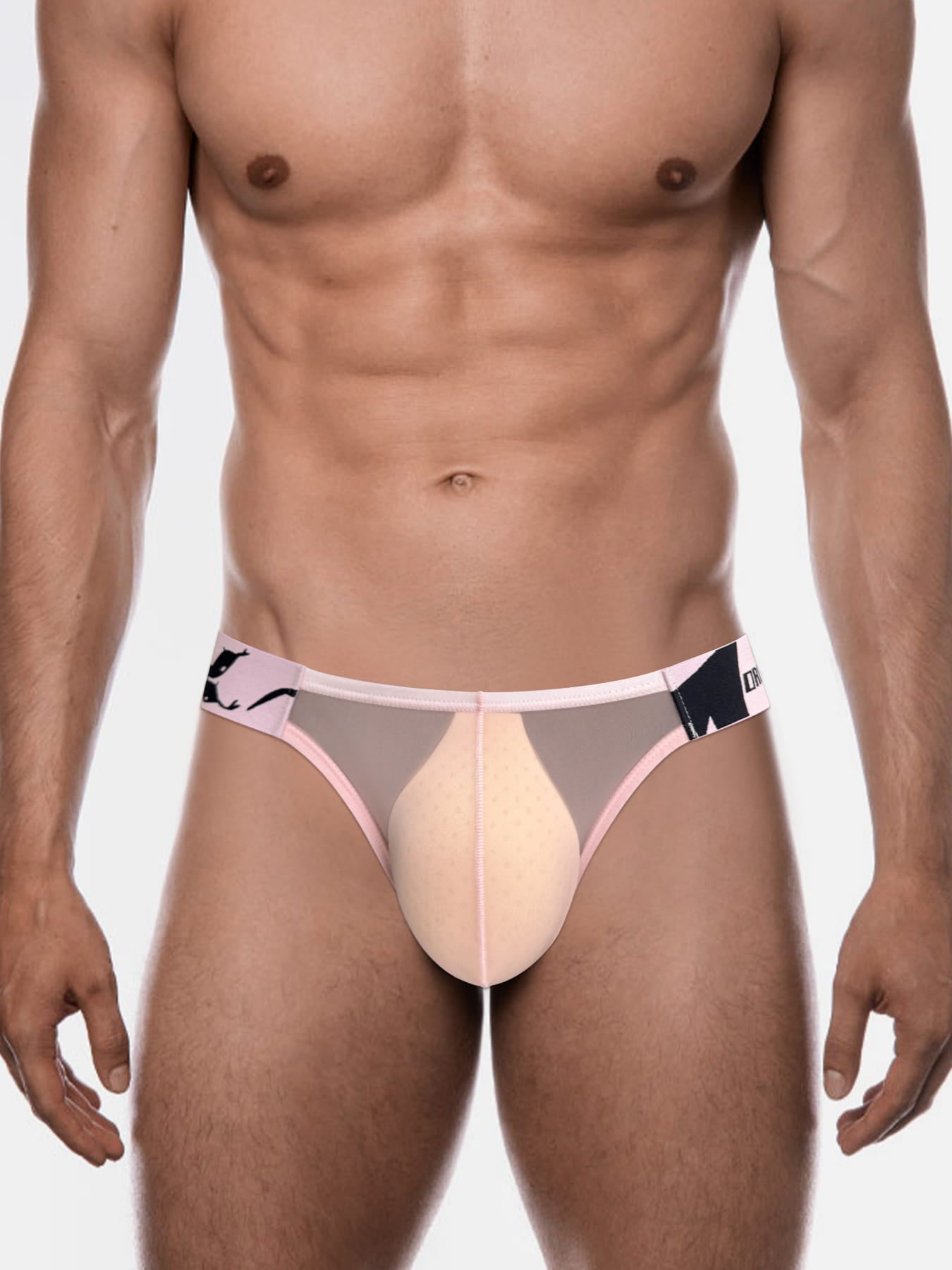 Men's Sexy Sheer Low-Rise Bikini Briefs