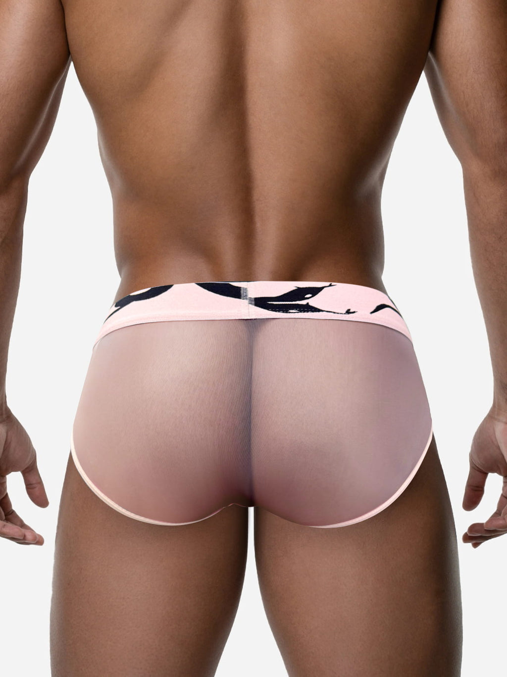 Men's Sheer Mesh Low-Rise Sport Briefs