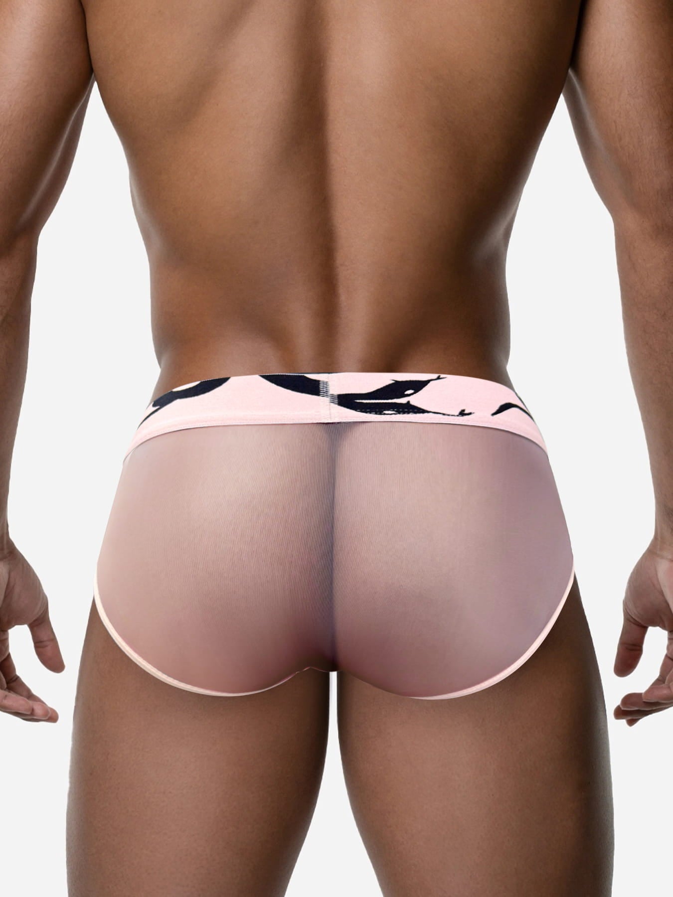 Men's Sheer Mesh Low-Rise Sport Briefs