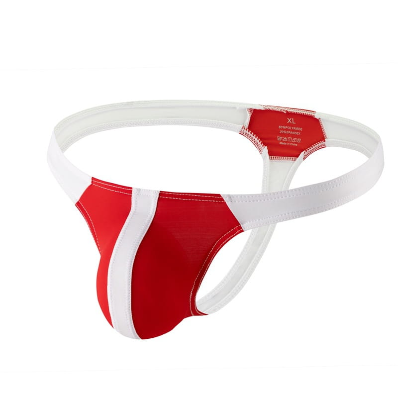 Men's Sheer Two-Tone Nylon Thong